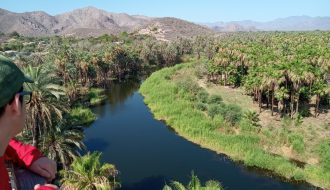 tour-mulege